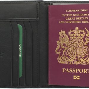 VISCONTI Polo Collection Leather Passport Holder RFID Blocking 2201 Black